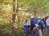 森林エリアで開かれた「樹木の紅葉観察会」の様子